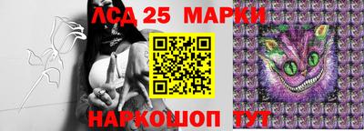 стафф Сланцы
