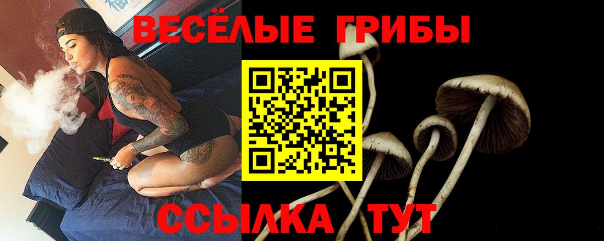 Электрогорск  Галлюциногенные грибы GOLDEN TEACHER  Вход с VPN 